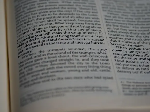 Kasyno Grand Eagle Wsparcie